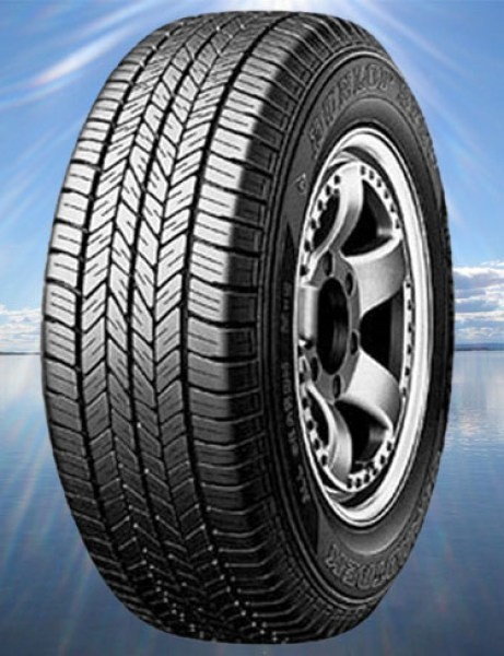 225_60R18_GRANDT_4c18ae918e113.jpg